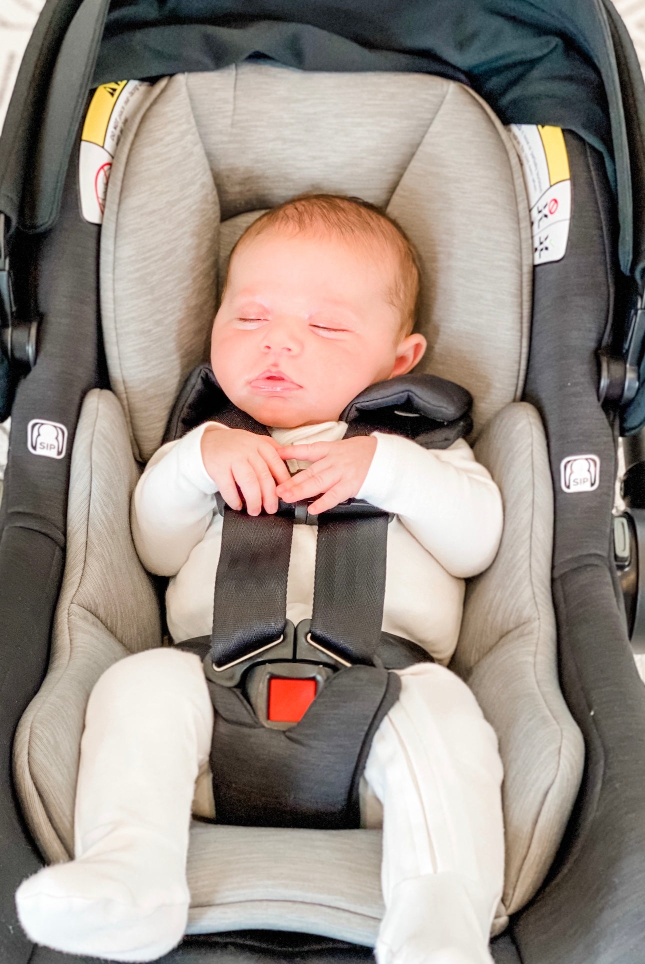baby car seat norani baby