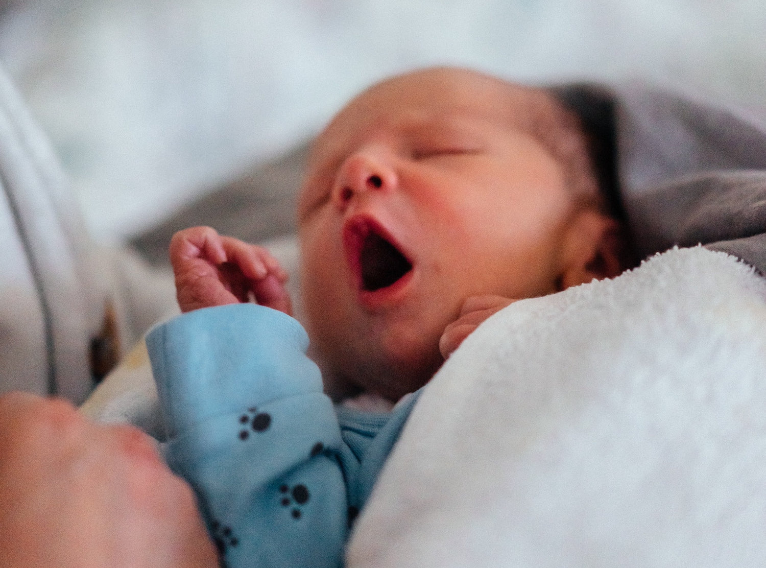 Sample Newborn Sleep Schedule