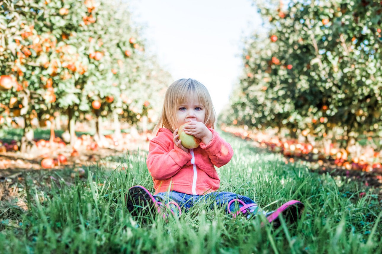 10 Healthy Snacks Every Toddler Should Be Eating - Norani Baby