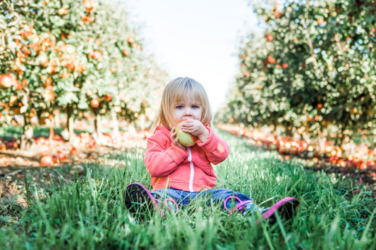 10 Healthy Snacks Every Toddler Should Be Eating - Norani Baby