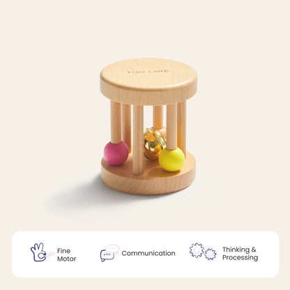 Tiny Land® Montessori Toys for Newborns (0–3 Months) - Norani Baby
