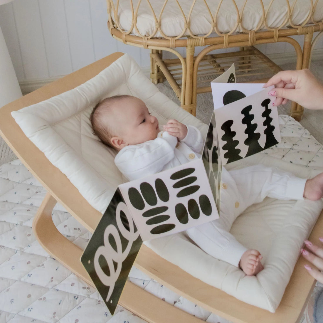 Tiny Land® Montessori Toys for Newborns (0–3 Months) - Norani Baby