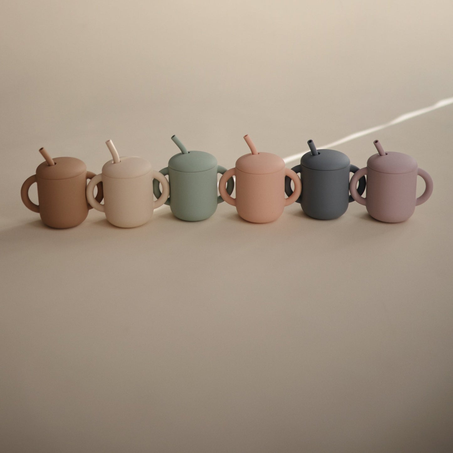 Silicone Training Cup + Straw - Norani Baby