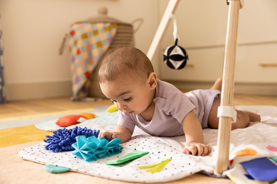 The Play Gym - Norani Baby