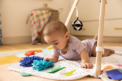 The Play Gym - Norani Baby