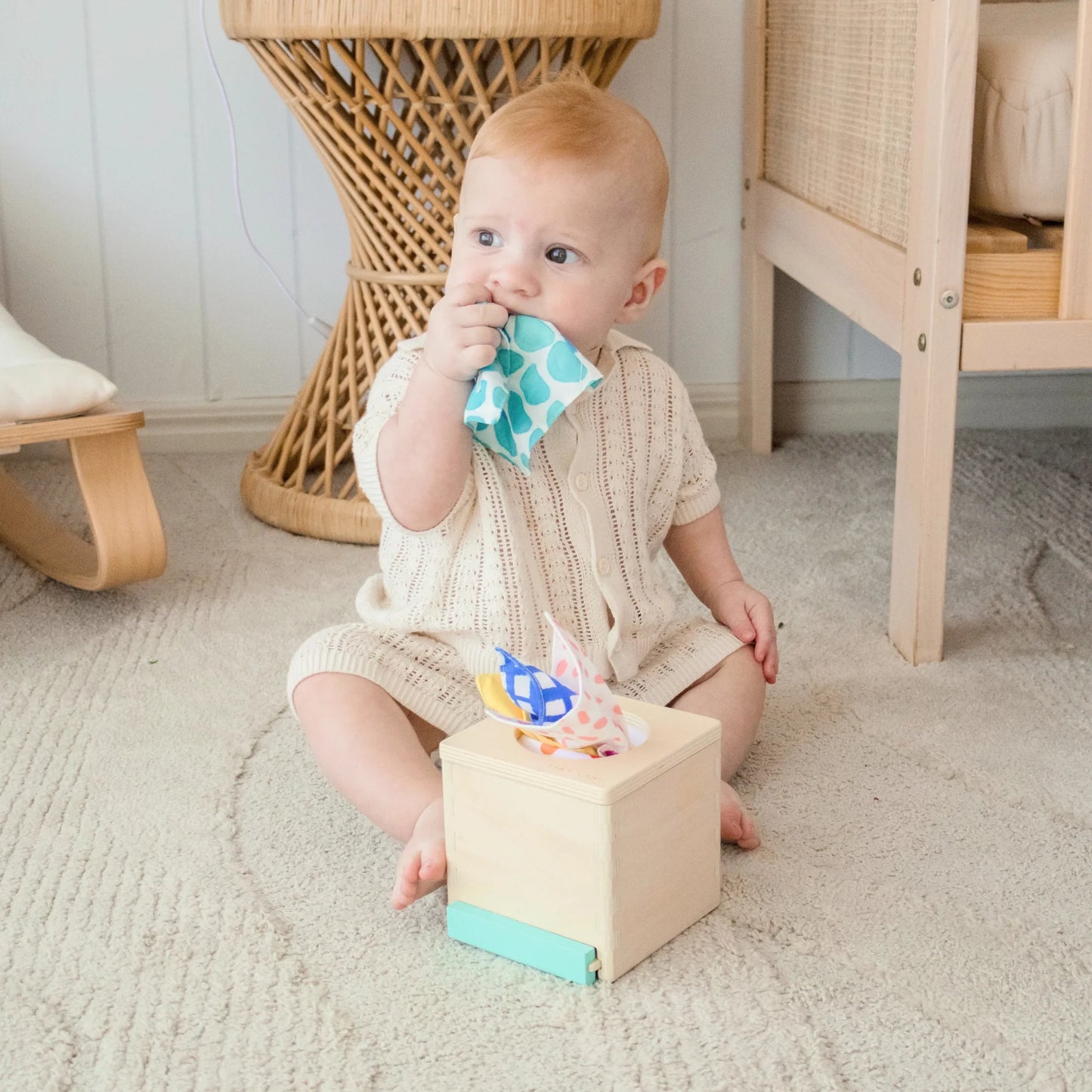Tiny Land® Montessori Toys for Newborns (4–6 Months) - Norani Baby