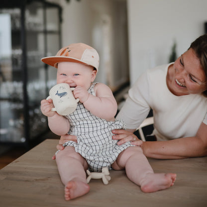 Silicone Training Cup + Straw - Norani Baby