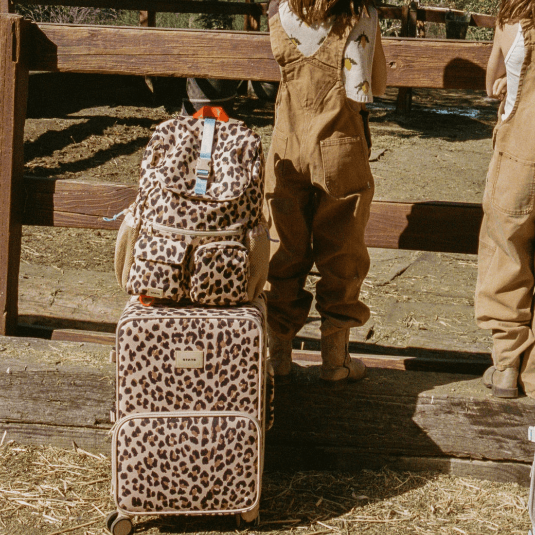Logan Carry - On Suitcase - Norani Baby