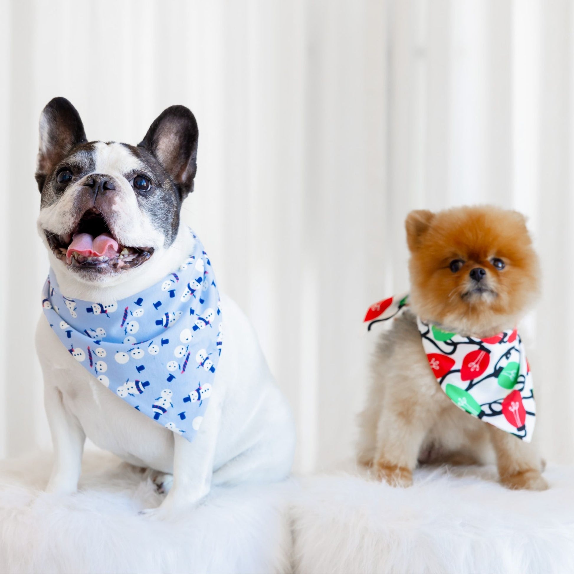 norani Pet Bandana - Holiday Lights