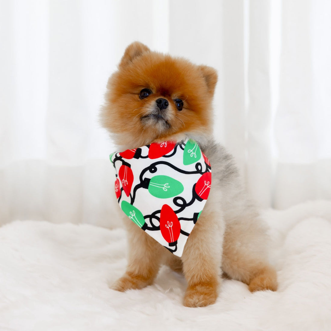 norani Pet Bandana - Holiday Lights