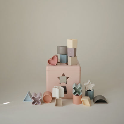 Shape Sorting Box - Norani Baby