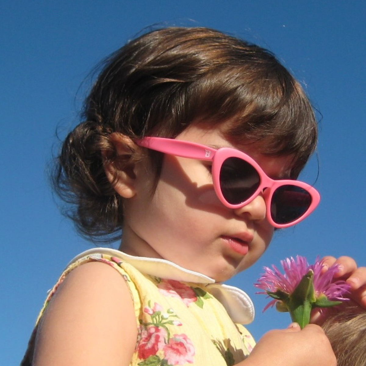 Think Pink! Cat-Eye I Smoke Lenses