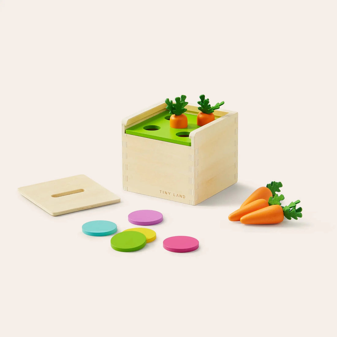 Tiny Land® Montessori Toys for Toddlers (13–15 Months) - Norani Baby