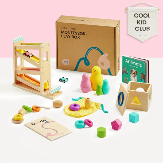 Tiny Land® Montessori Toys for Toddlers (16–18 Months) – Montessori Educational Toys - Norani Baby