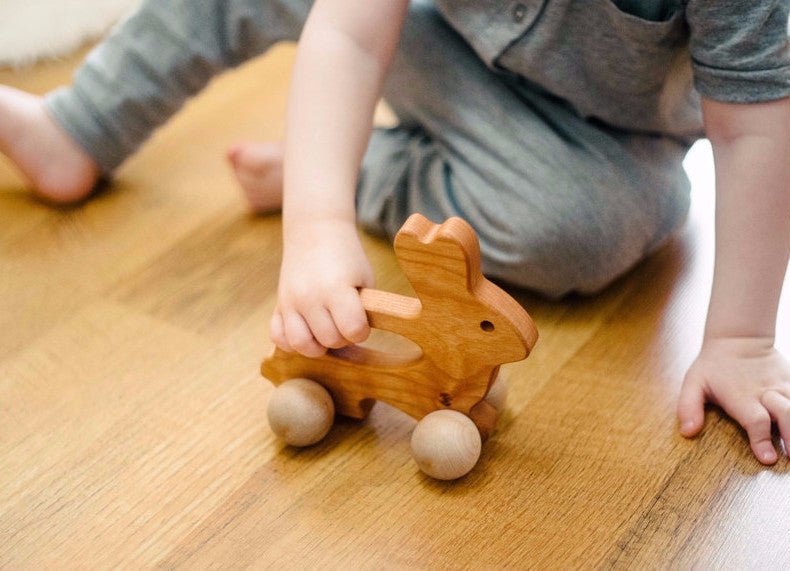 Bunny Push Toy - Norani Baby