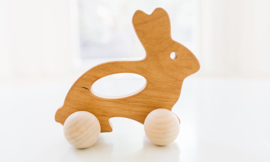 Bunny Push Toy - Norani Baby