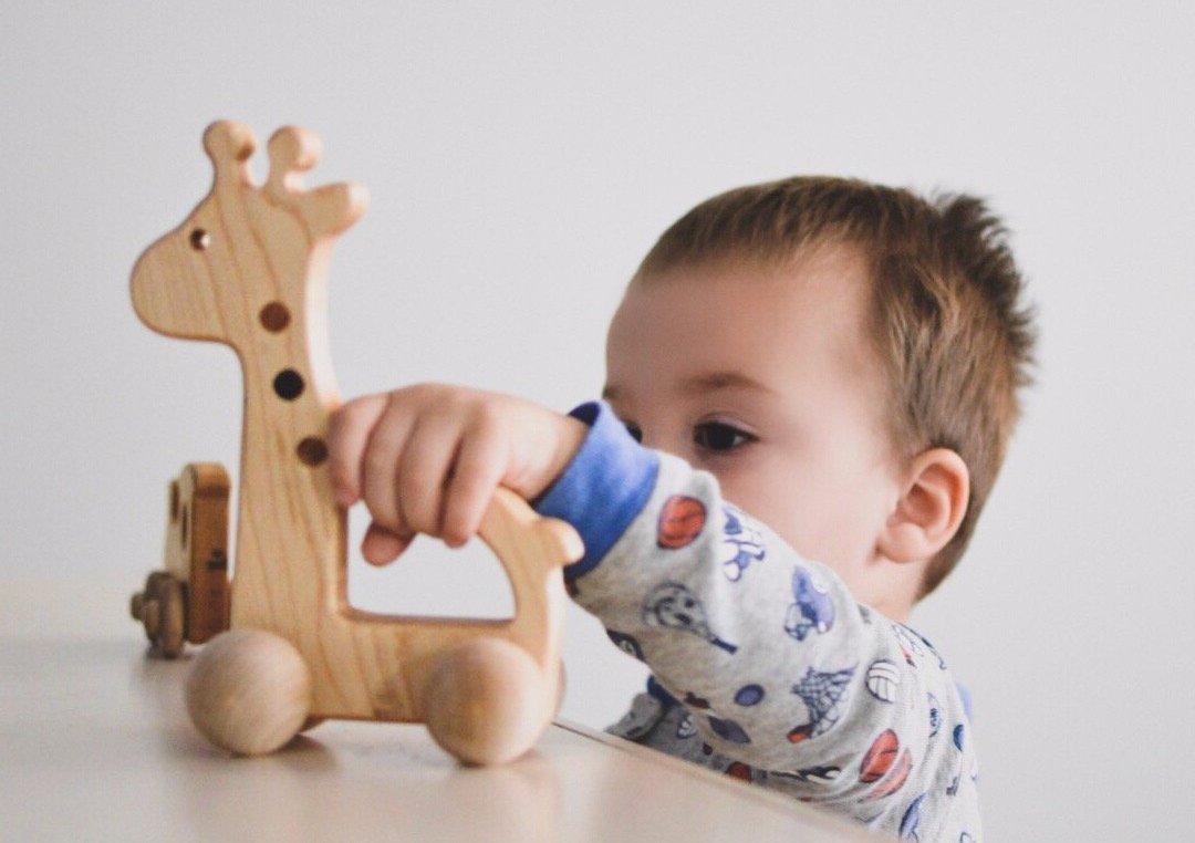 Giraffe Push Toy - Norani Baby