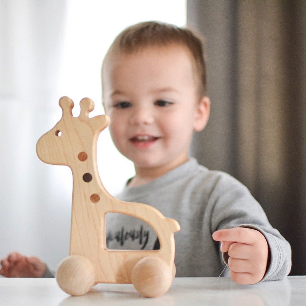 Giraffe Push Toy - Norani Baby