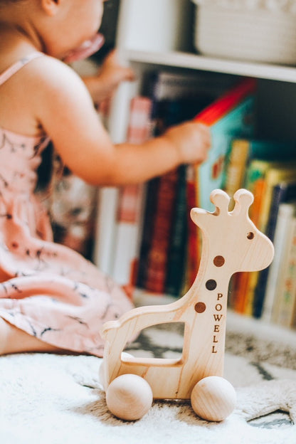 Giraffe Push Toy - Norani Baby