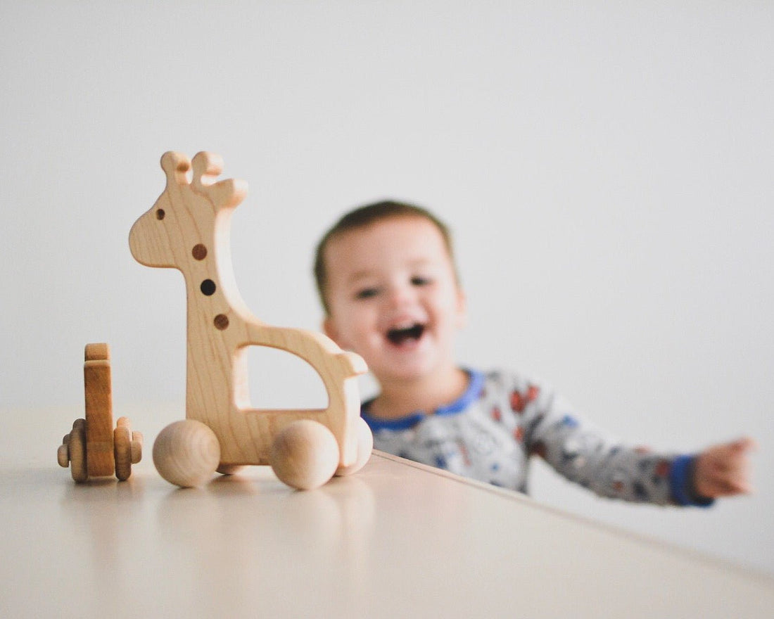 Giraffe Push Toy - Norani Baby