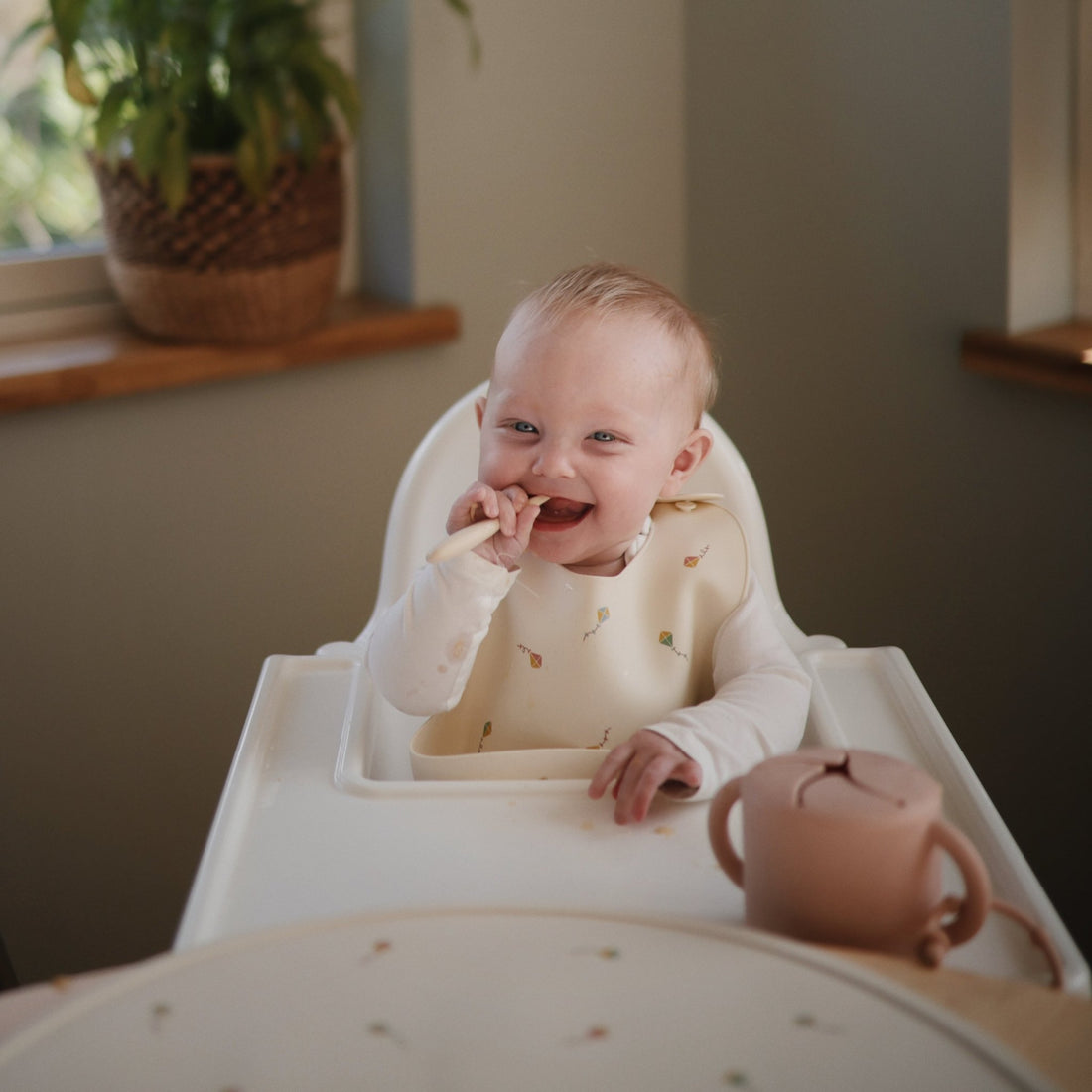 Silicone Baby Bib - Norani Baby