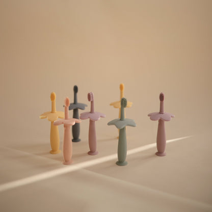 Star Training Toothbrush - Norani Baby